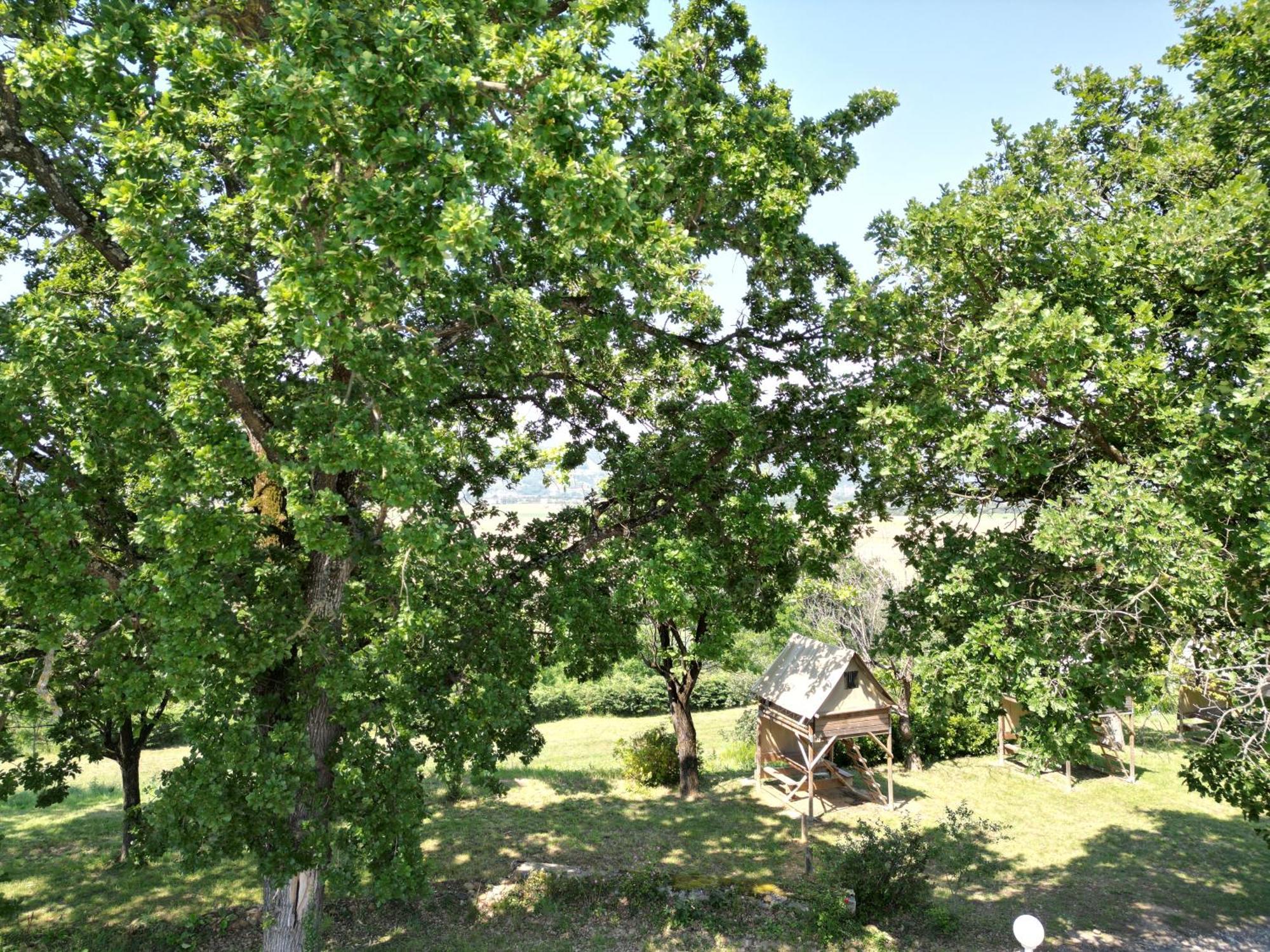 Camping Domaine De Senaud 阿尔邦 外观 照片